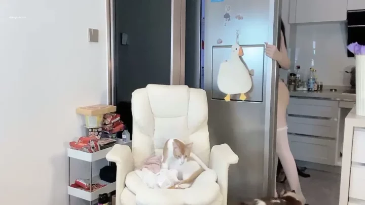 Amateur Japanese Solo — Busty Woman in Lingerie