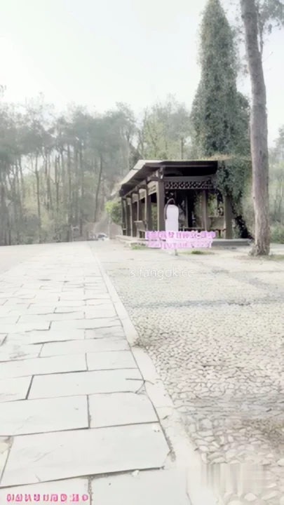 Screenshot 4 from Chinese Amateur Livestream Leak — Petite Beauty Nude in Park with Toys