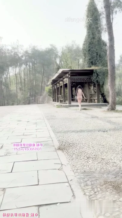 Screenshot 5 from Chinese Amateur Livestream Leak — Petite Beauty Nude in Park with Toys