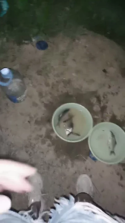 Screenshot 2 from Cewek Nakal China Ngentot dan Telan Sperma di Pinggir Sungai — Wajah Terlihat, POV Amatir
