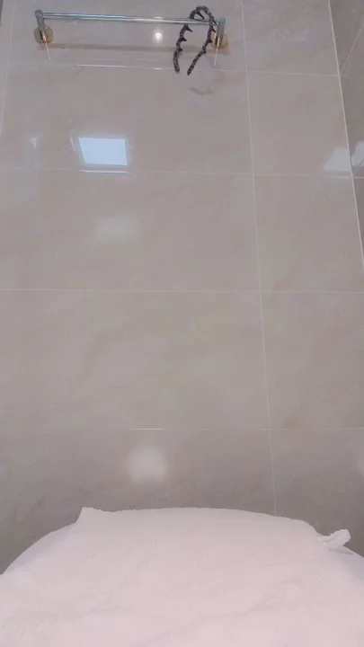Screenshot 8 from Amadora Japonesa Solitária — Masturbação no Banheiro com Vibradores e Dildos